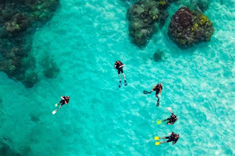 You Should Not Miss On These Spectacular Places For Scuba Diving In