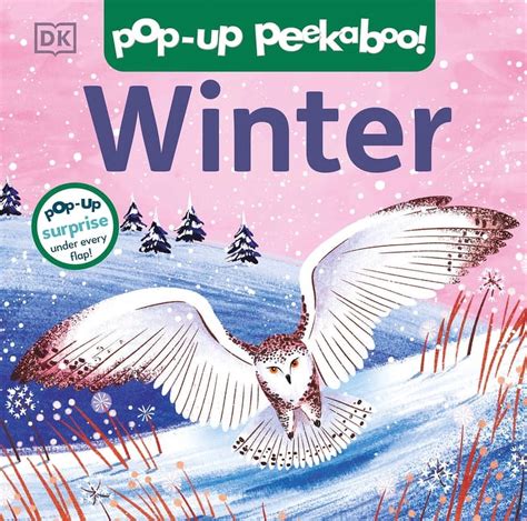 Pop Up Peekaboo Pop Up Peekaboo Winter Pop Up Surprise Under Every Flap Board Book