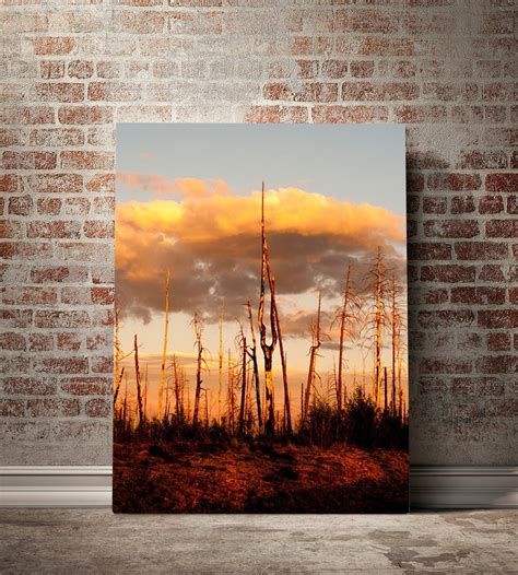 Forest Fire Sunset, Nature Fine Art Photo – Lost Kat Photography