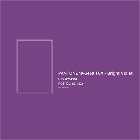 Pantone 19 3438 Tcx Bright Violet Complementary Or Opposite Color Name And Code 784384