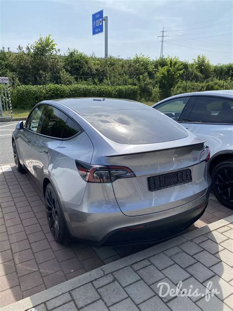 Marek S Feedback About Their Tesla Model Y