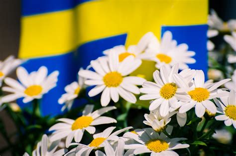 Glad Midsommar ArifLetisha