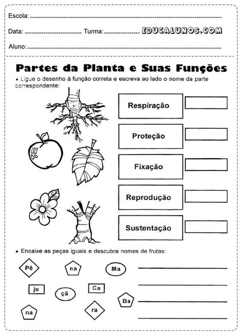 Atividade De Ciências Para 2º Ano