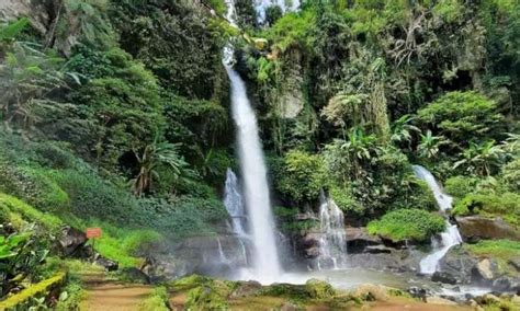 Curug Orok Wisata Air Terjun Eksotis Nan Indah Di Garut Mei