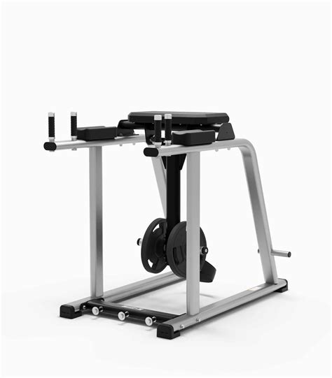 Reverse Leg Extension Machine