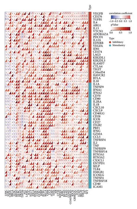 A Boxplot Of The Etnk2 Gene In Pan Cancer B Forest Plot Of The Download Scientific Diagram