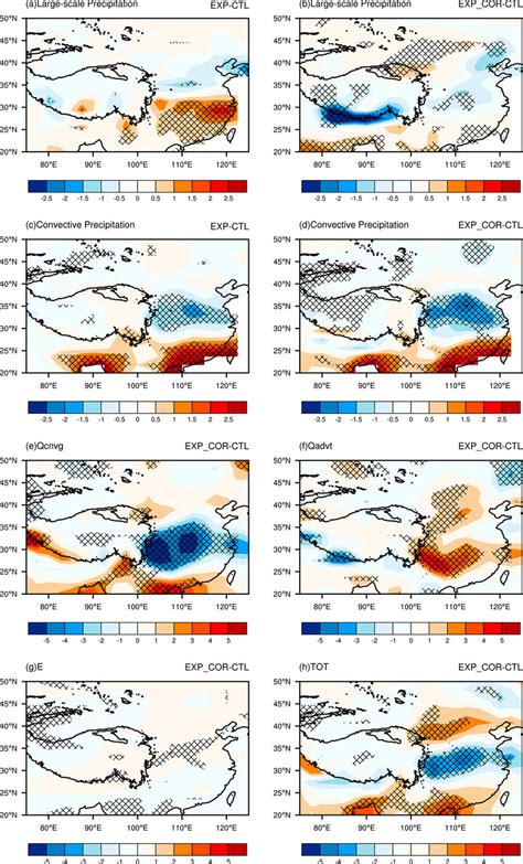 Spatial distribution of the differences in (a, b) large-scale ...
