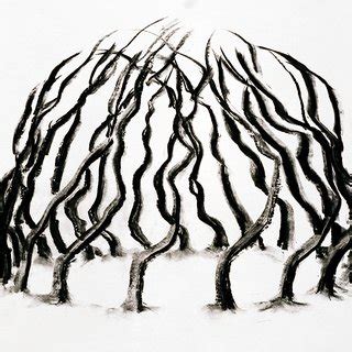 David Nash - Ash Dome for Sale | Artspace