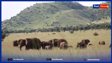 ULISHAWAHI KUSIKIA REJISTA HII YA WAONGOZA WATALII WANAOYOITUMIA KWENYE