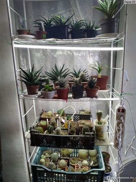 Таймер FinePower розеточный ST-A0120 - «для подсвечивания растений ...