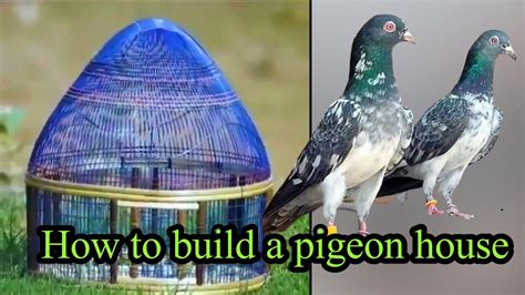 How To Build A Pigeon House Youtube