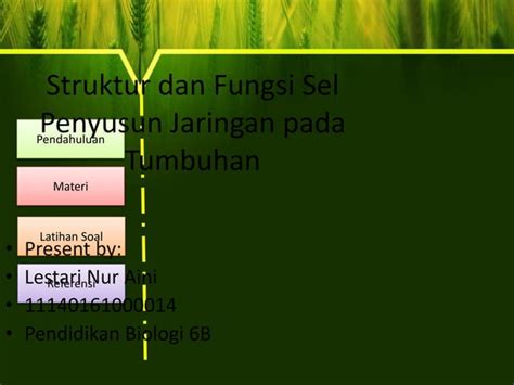 Jaringan Tumbuhan Pptx