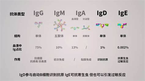 科普 新冠病毒抗体检测（胶体金法）原理 知乎