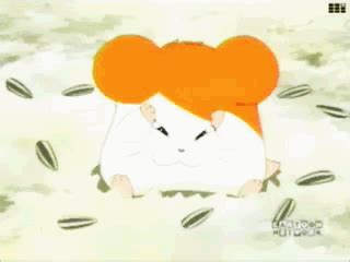 Hamster GIF - Find & Share on GIPHY | Hamtaro, Anime, Old cartoons