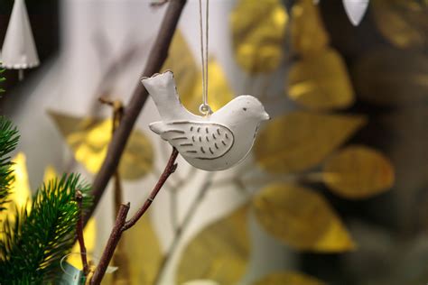 Dove of peace - Photo #8908 - motosha | Free Stock Photos