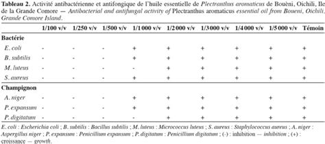 Activit Antimicrobienne Des Extraits De Plantes Pdf