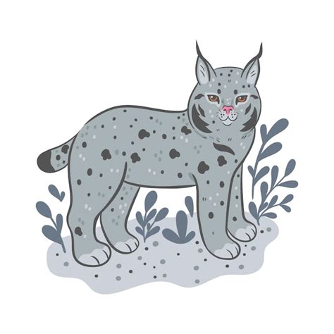 Lynx De Forêt Mignon Isolé Sur Fond Blanc Vecteur Premium