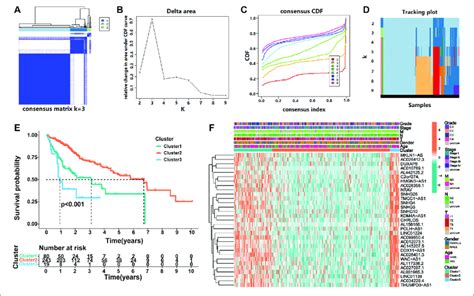 Consensus Clustering Of Prognostic Lncrnas Related To M A Regulators