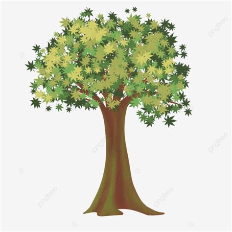 Simplegreen Maple Tree Maple Tree Green Png Transparent Clipart