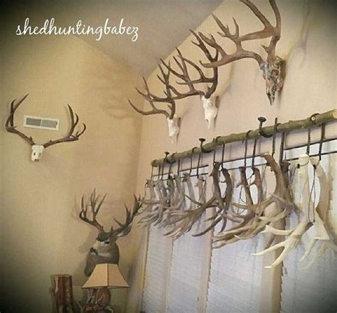 10 Antler Decoration Styles To Inspire Your Shed Finds Deer Antler Decor Antlers Decor Deer