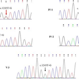 Chromatograms showing nucleotide sequences of PROC in the regions of ... 