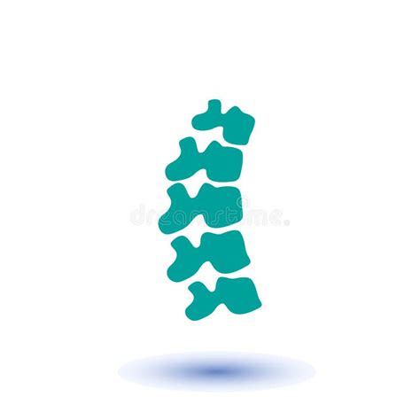 Vector Human Spine Illustration Stock Vector Illustration Of Medicine