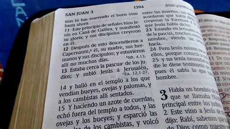 CAPÍTULOS y VERSÍCULOS cómo leer la Biblia YouTube