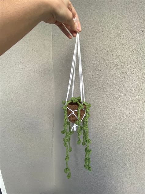 Crochet Hanging Plant String Of Pearls Plant With Macrame Etsy