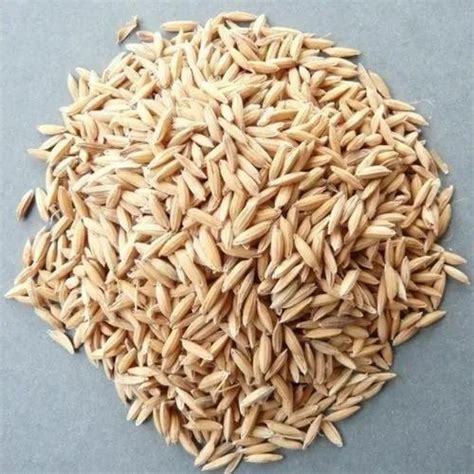 Dried Brown Raw Paddy Seeds For Agriculture Packaging Type Loose At