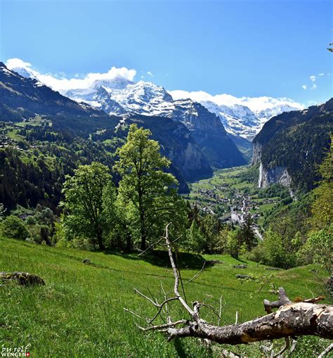 Pin By Judy Feuz Cain On Berner Oberland Bern Switzerland Natural