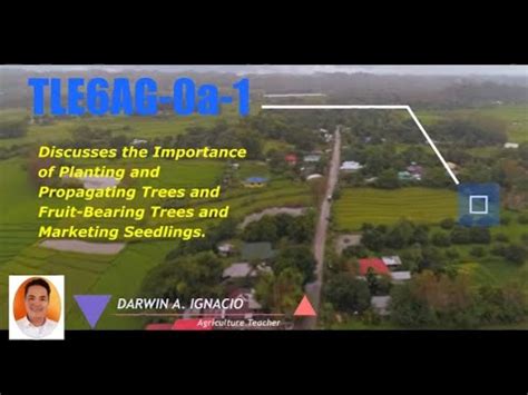 Tle Agriculture The Importance Of Planting And Propagating Trees