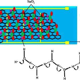 The Schematic Of The Proposed Humidity Sensing Mechanism Of The