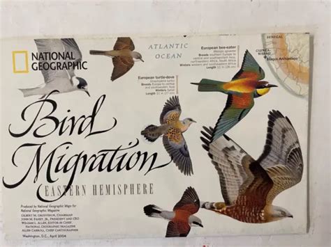 National Geographic Bird Migration Side Poster And Map April