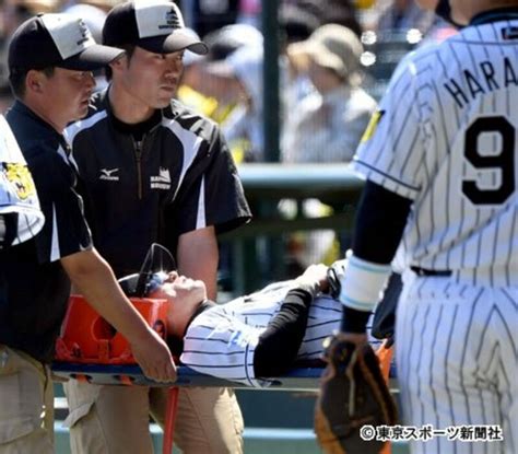 写真：阪神・上本が負傷交代 金本監督「抹消かどうかは明日判断」 東スポweb