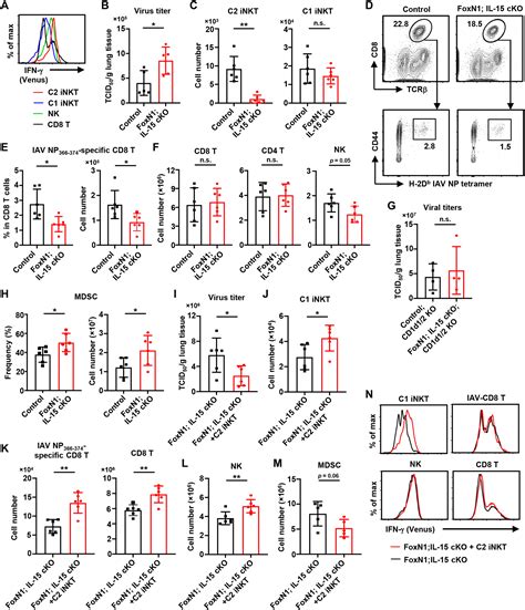 A Circulating Subset Of INKT Cells Mediates Antitumor And Antiviral