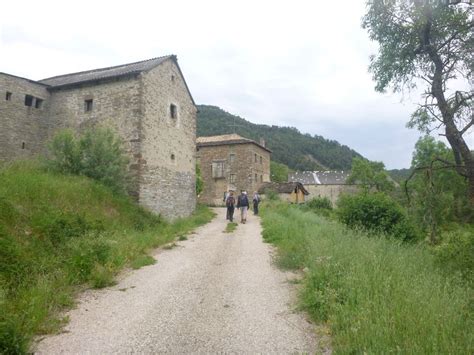 Hike Pyrenees - Lakes and Valley's flora specific week | Blogging from the Pyrenees