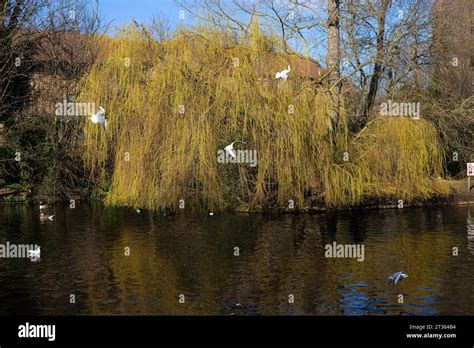 Barking, east London Stock Photo - Alamy