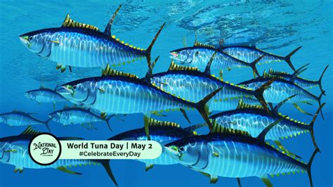 World Tuna Day May National Day Calendar