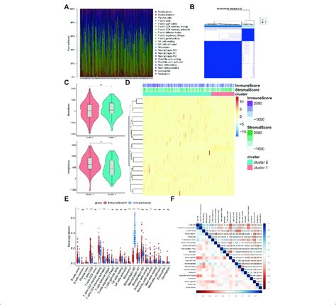 Evaluation And Visualization Of Immune Cell Infiltration In Blca A