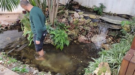 Como Montar Um Lago Ornamental Parte Escola De Aqu Rio