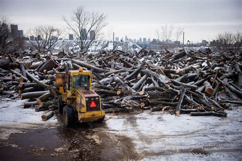 Crippling Ice Storm Strikes Ctv News