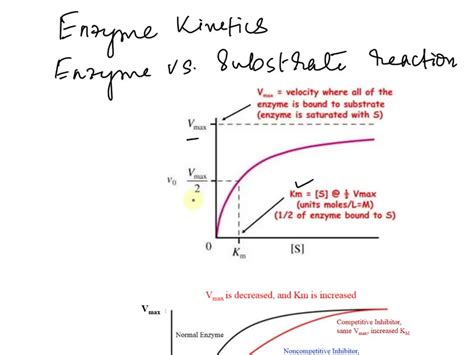 Solved Sketch A Rough Graph Of Vo Versus Substrate Concentration That