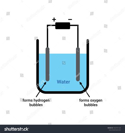 Electrolysis Of Water Diagram Vector Royalty Free Stock Vector 1923731120