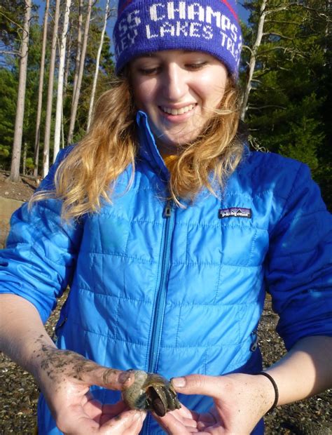 An Ocean Lover in Maine: Mudflat Moon Snail Mania | Stuck in the mud