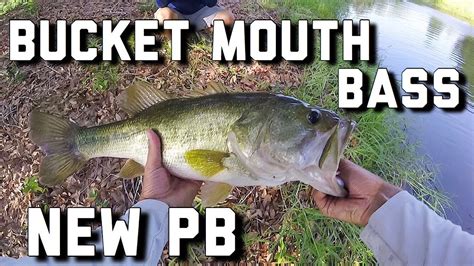 Alabama Bass Pond Hopping New Pb Largemouth Youtube