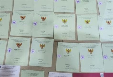 Ternyata Ini Bedanya Sertifikat Tanah Dengan Buku Tanah Pemilik Tanah