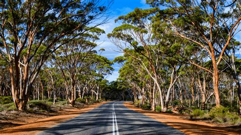 Location Spotlight Western Australia’s Goldfields Esperance Region Ausfilm