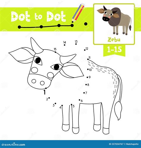 Dot To Dot Educational Game And Coloring Book Zebu Animal Cartoon