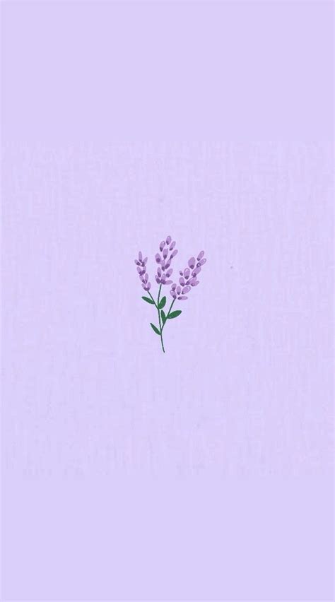 A Single Lavender Flower On A Light Purple Background