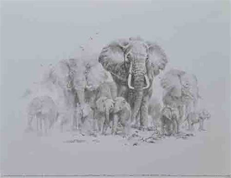 davidshepherd-signed-limited-edition-prints-elephants